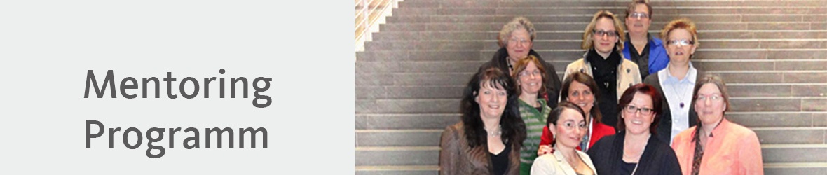 Mentoring Programm Mentoring Programm