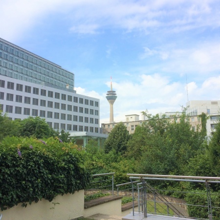 Größeres Bild ansehen